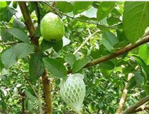 一機(jī)多用的網(wǎng)套機(jī)還不快來帶回家！